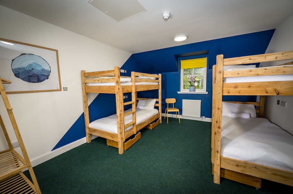 Shared Dormitory (Male Dormitory Bunk)