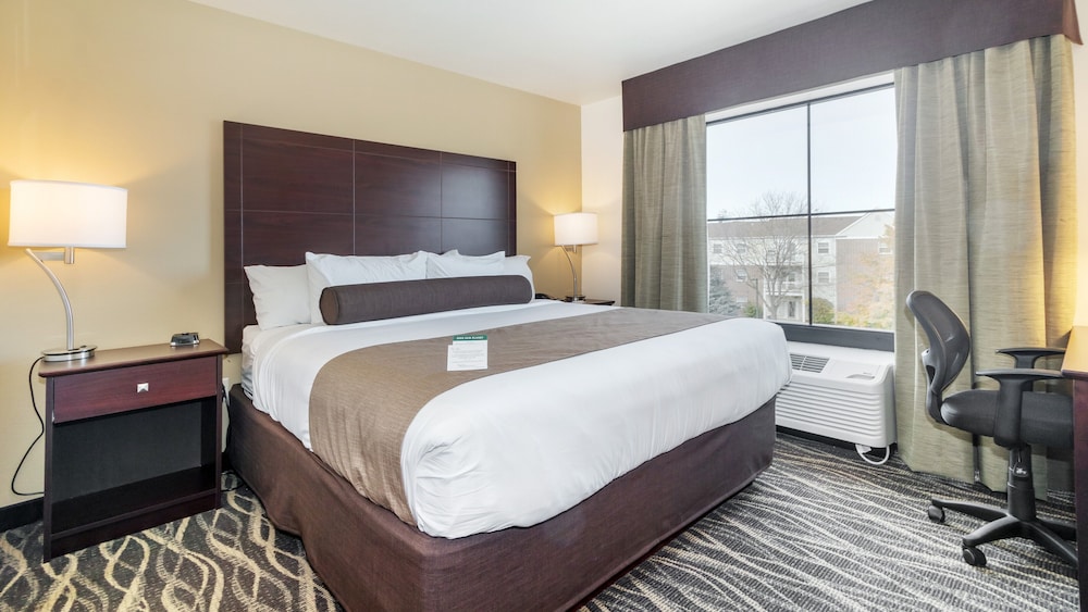 Suite, 1 King Bed, with Sofa Bed, Audible/Visual Alert, Non Smoking - Photo 2
