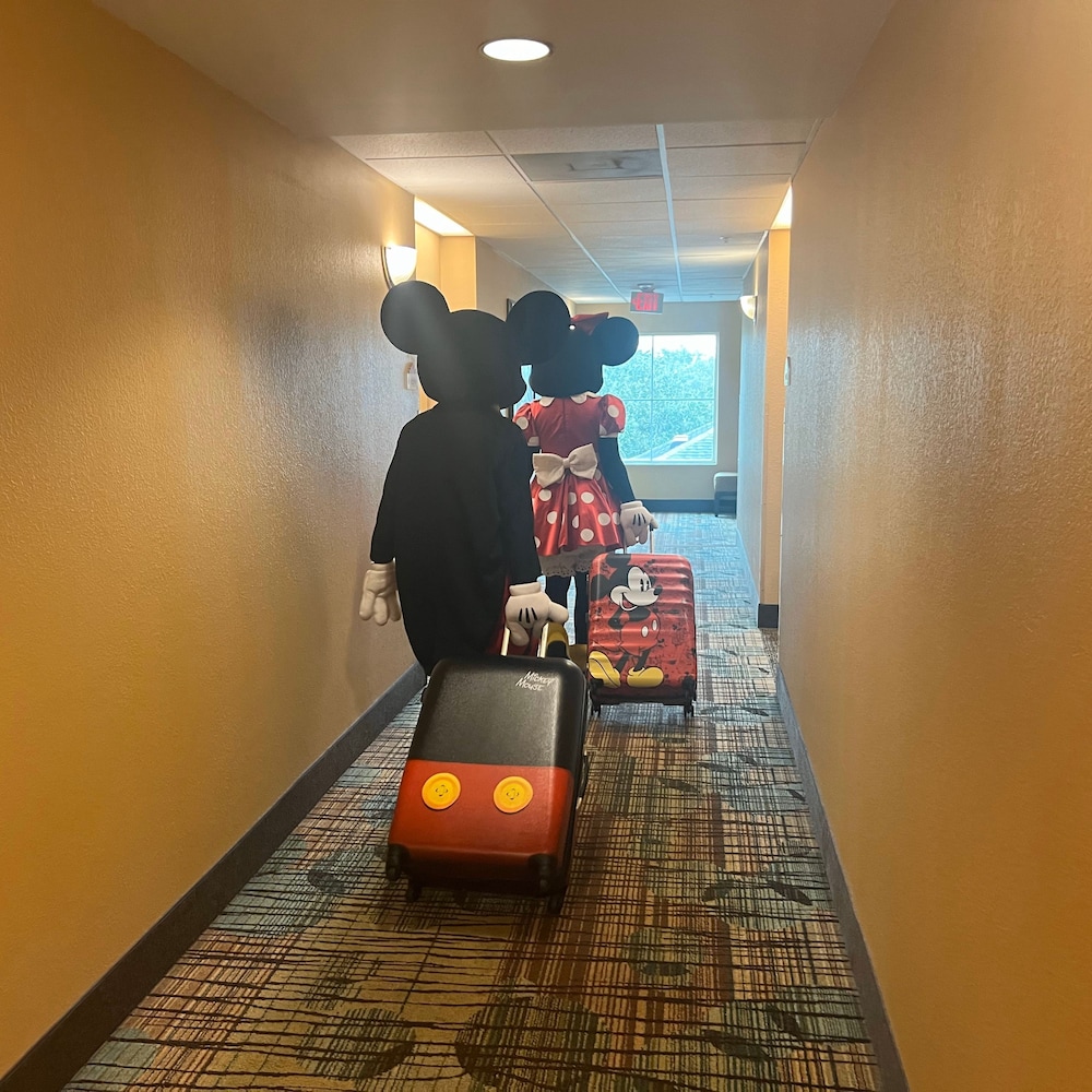 Free Shuttle 2 Queen Disney Area, Photo 17