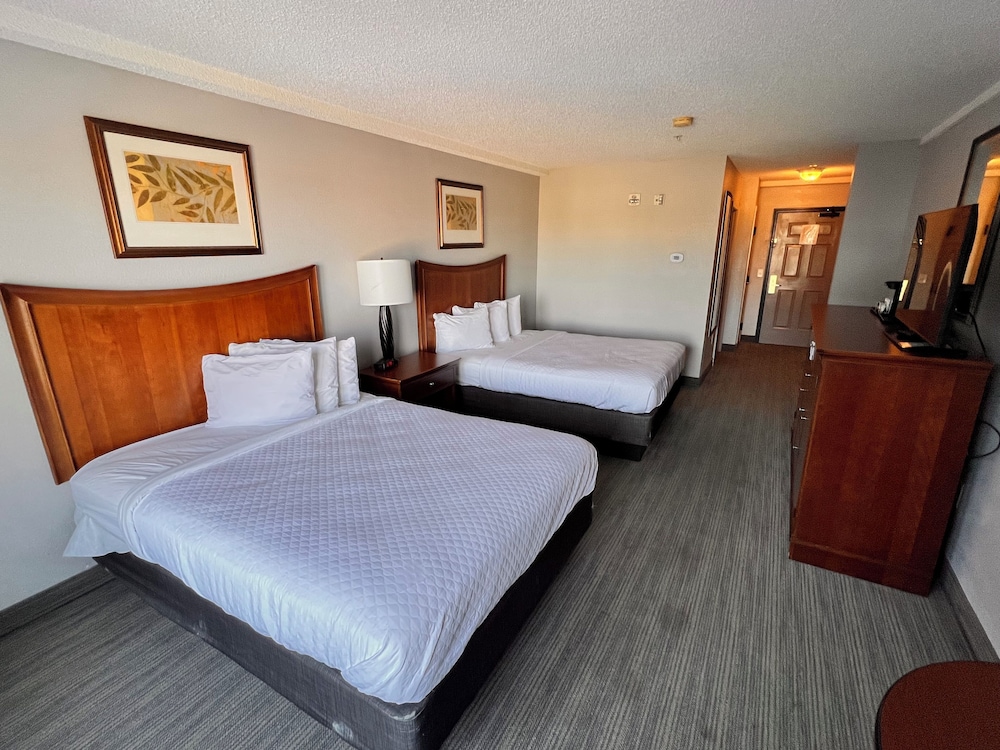 Standard Studio, 2 Queen Beds, Mobility Accessible, Non Smoking photo 3