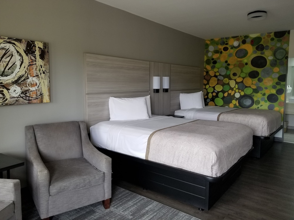 Suite, Multiple Beds, Non Smoking (Efficiency) - Photo 3