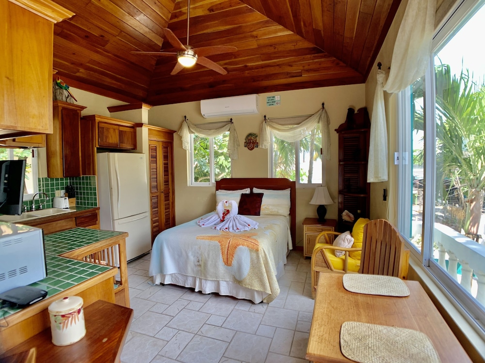 Deluxe Studio Suite photo 2