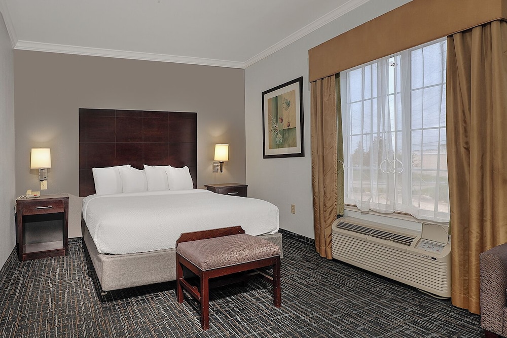 Room, 1 King Bed, Accessible (Roll-In Shower) - Photo 3