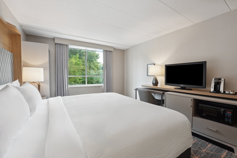 Standard Room, 1 King Bed, Accessible (Communication, Transfer Shower) - Photo 2