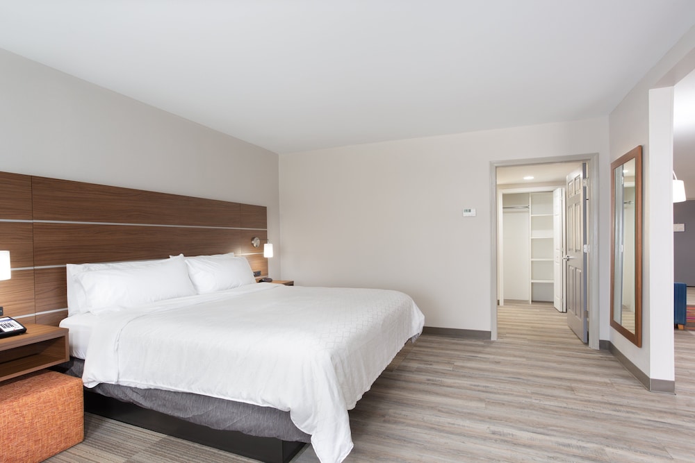 Suite, 1 King Bed (Extra Floor Space) - Photo 3
