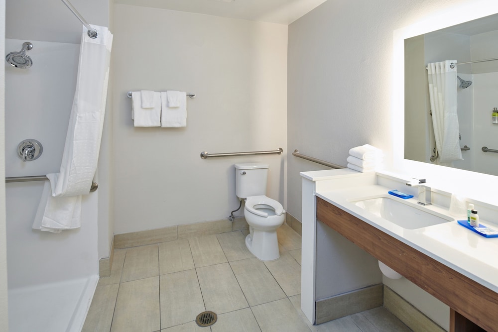 Suite, 1 King Bed, Accessible (Communications) - Photo 4