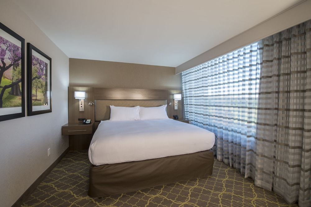 Junior Suite, 1 King Bed, Accessible, Non Smoking - Photo 2