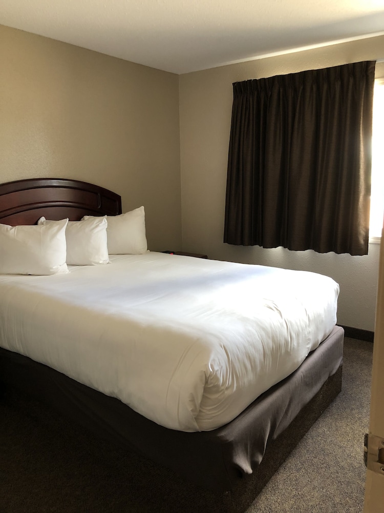 Room, 1 Queen Bed