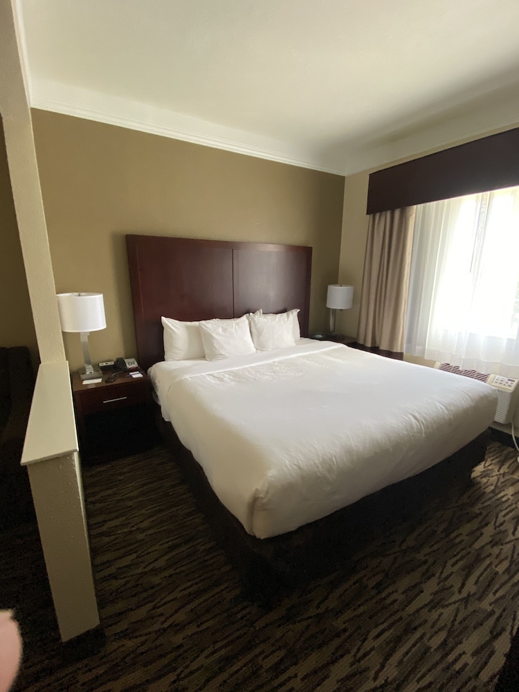 Suite, 1 King Bed with Sofa bed, Non Smoking - Photo 3