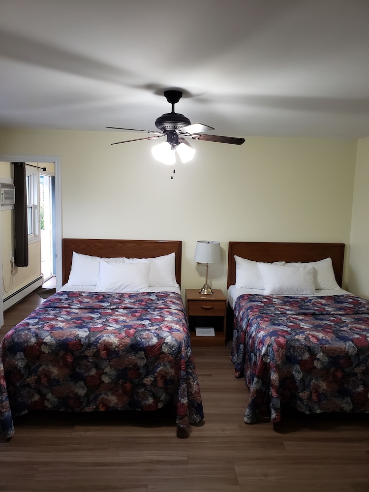 Double or Twin Room photo 1