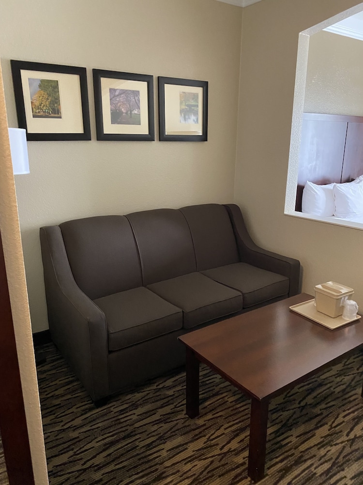 Suite, 1 King Bed with Sofa bed, Non Smoking - Photo 8