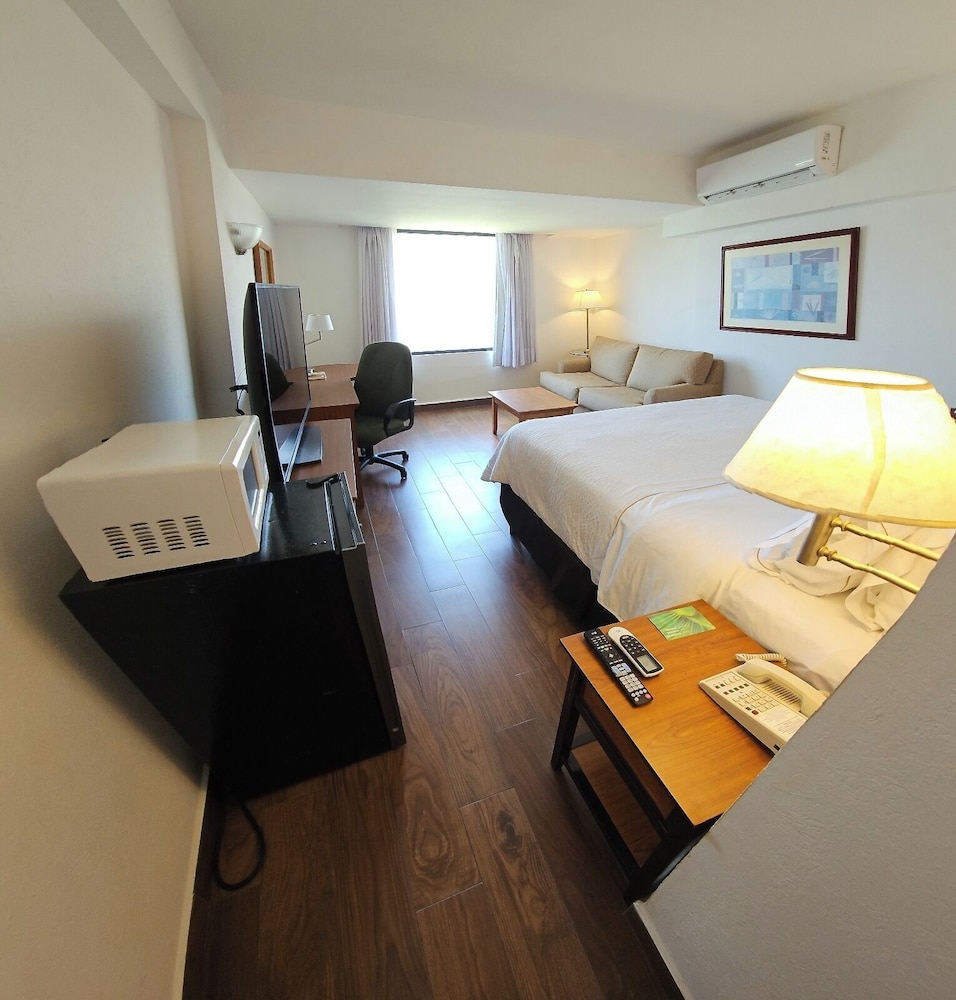 Superior Room, 1 King Bed, Lagoon View - Photo 4