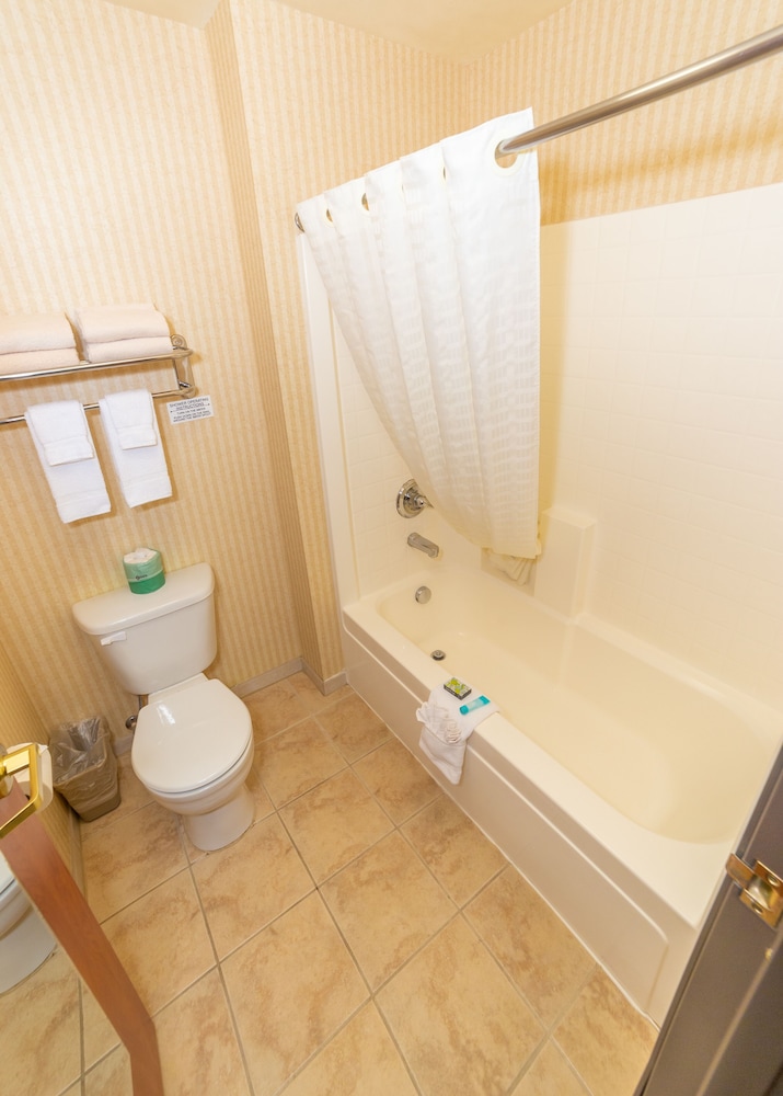 King Bed with Kitchenette (Pet Friendly) photo 3