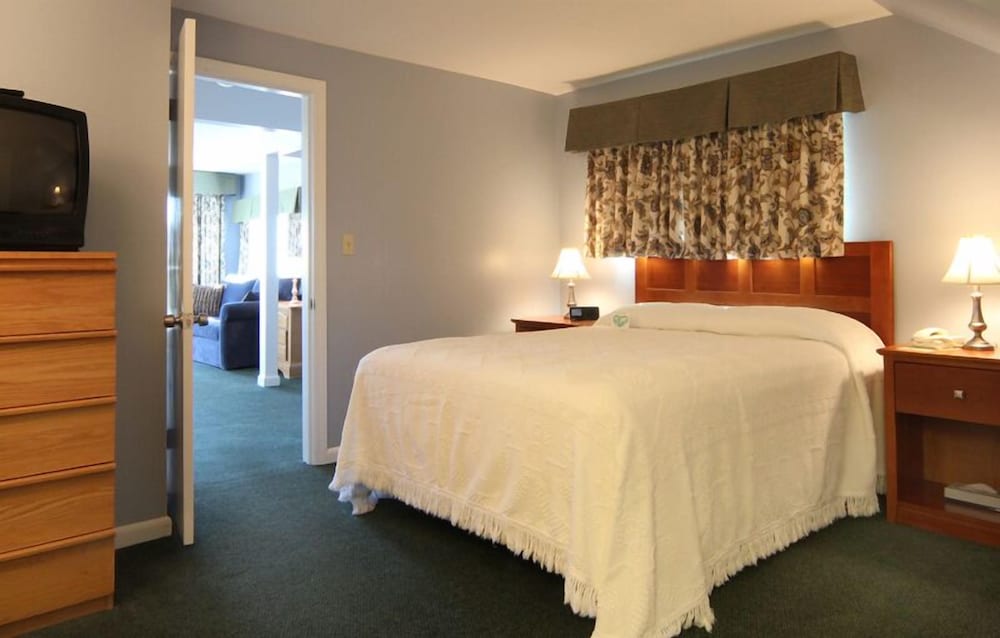 Deluxe Suite, 1 King Bed with Sofa bed, Non Smoking (233- 2nd Floor /Living/Dining/Kitchen Full OV)
