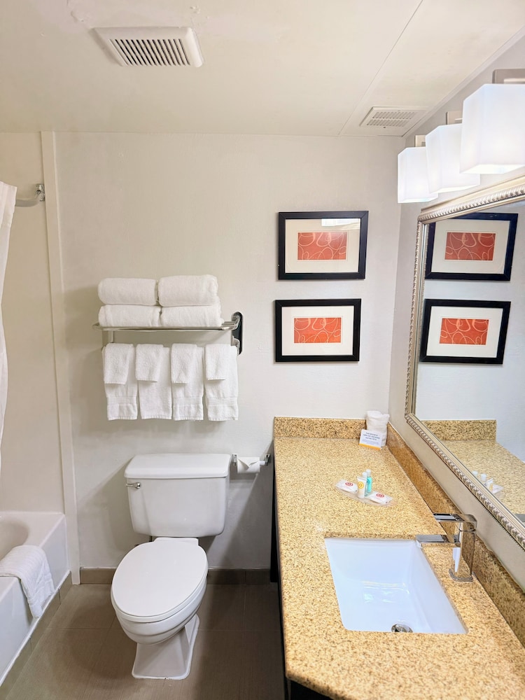 Suite, 1 King Bed, Non Smoking photo 3