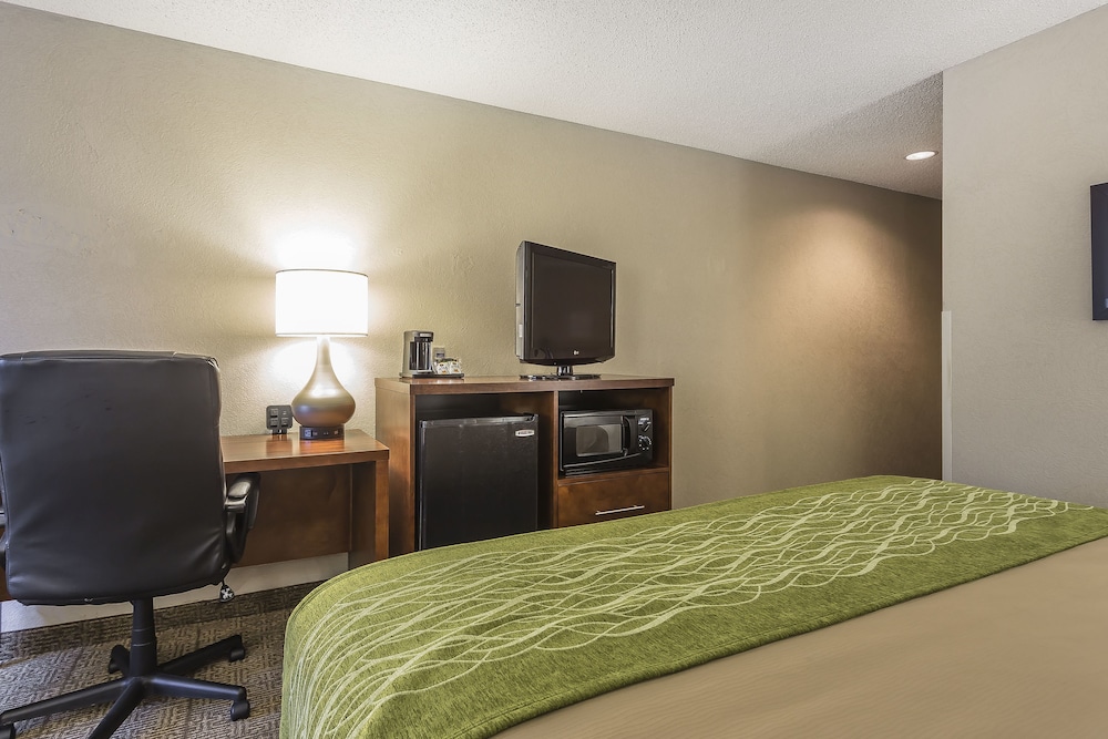 Standard Room, 1 King Bed, Non Smoking - Photo 4