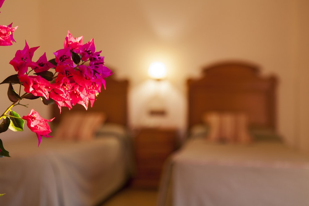 Standard Double Room, Valley View
