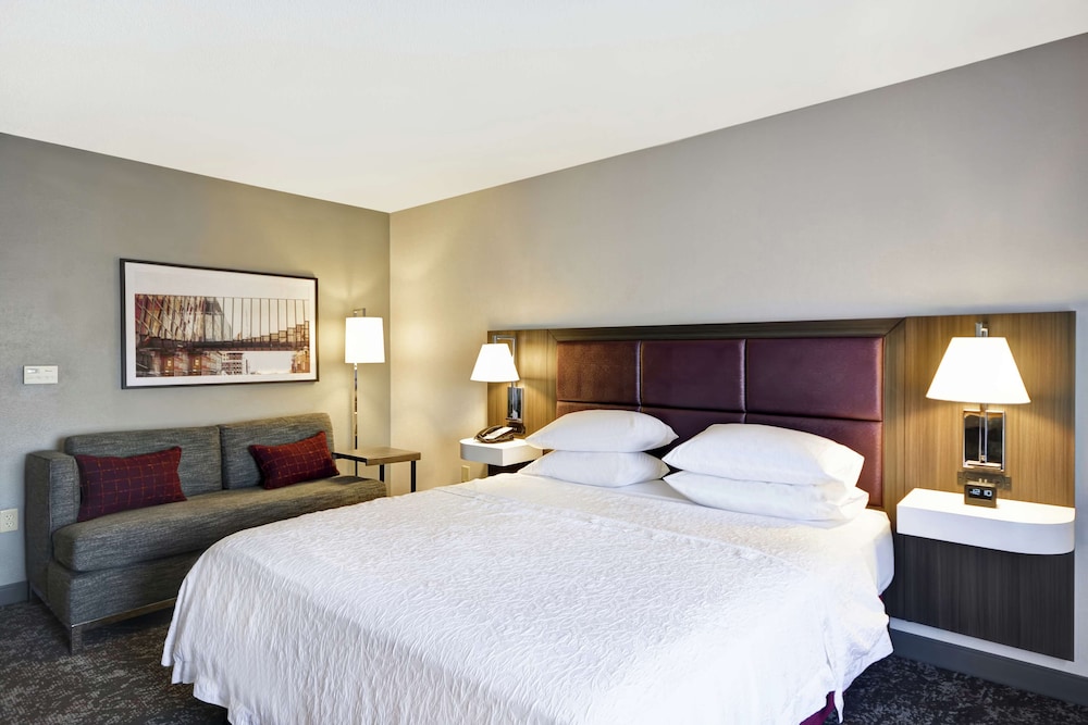 Room, 1 King Bed, Accessible (Hearing) photo 3