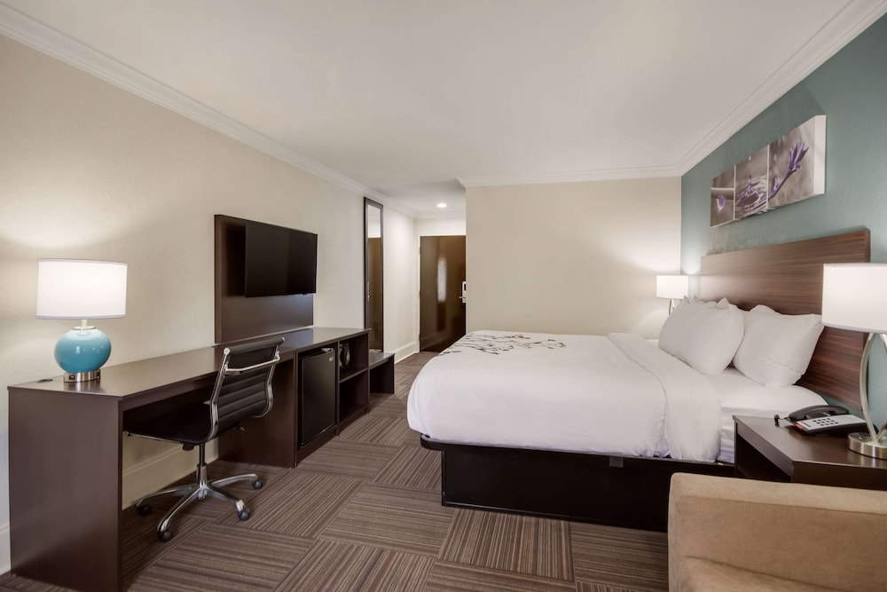 Suite, 1 King Bed with Sofa bed