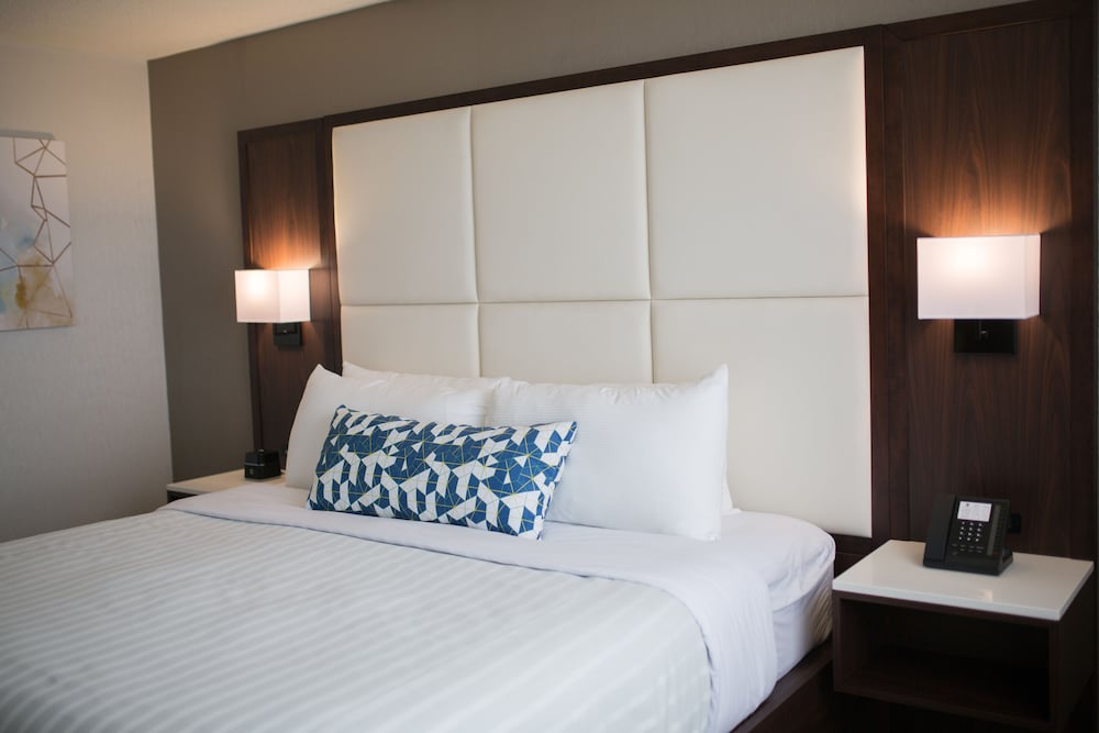 Lifestyle Suite, 1 Queen Bed with Sofa Bed, Accessible - Photo 1