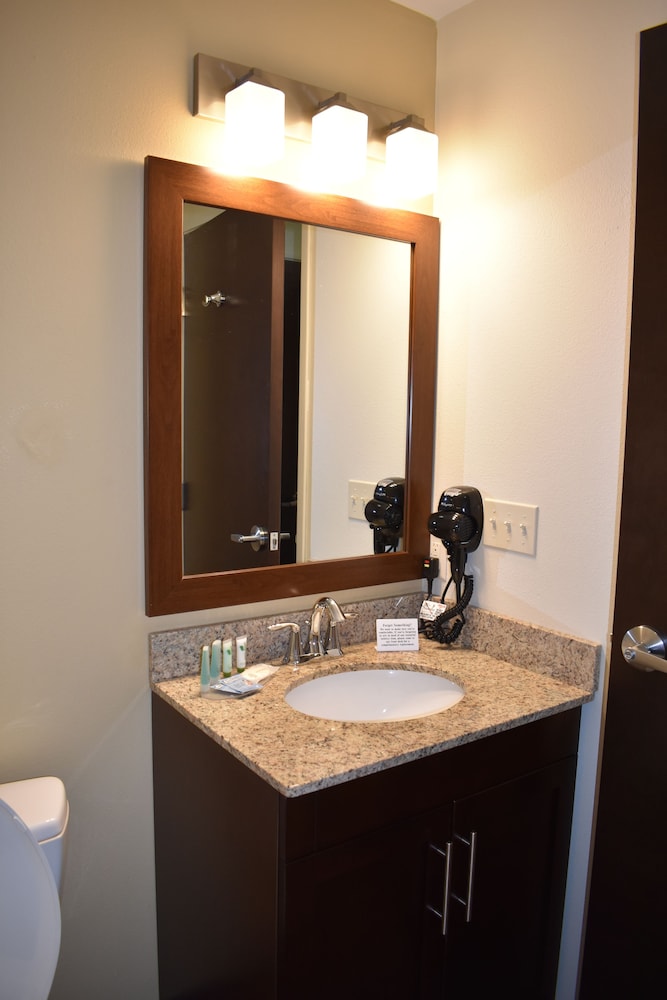 Efficiency, Suite, 1 King Bed with Sofa bed, Non Smoking