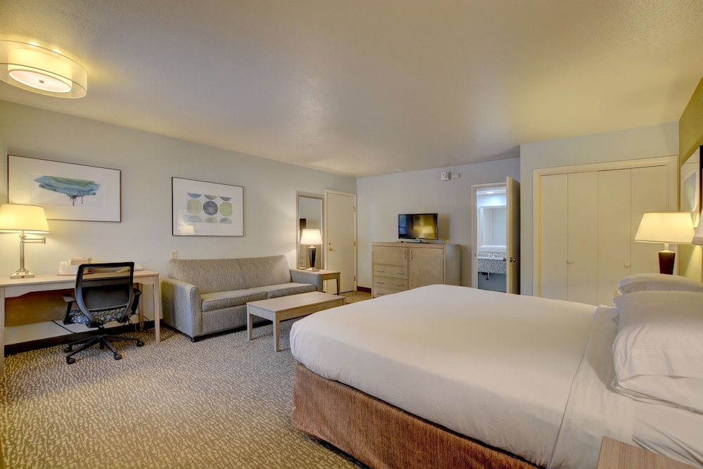 Suite, 1 King Bed, Non Smoking, Hot Tub - Photo 4