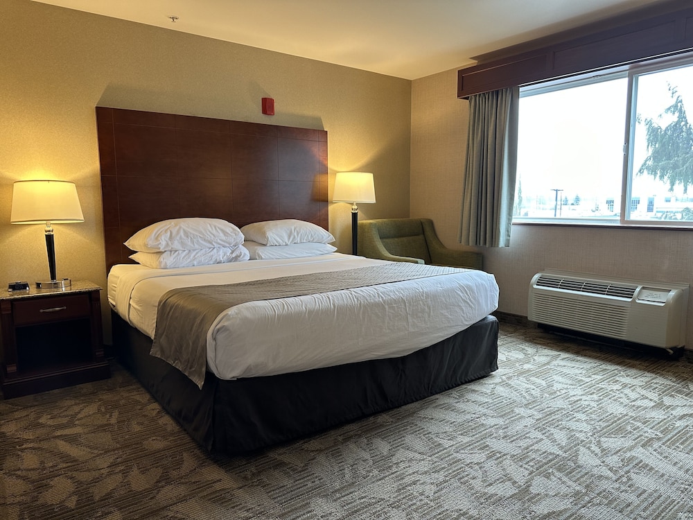 Traditional Room, 1 King Bed, Accessible photo 1
