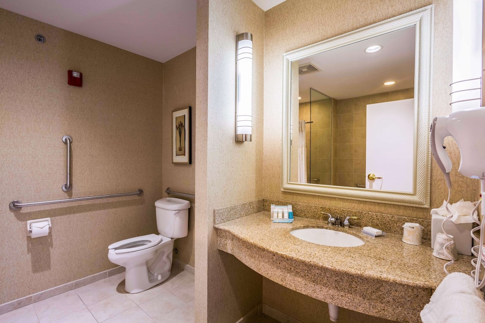 Suite, 1 King Bed, Accessible - Photo 4