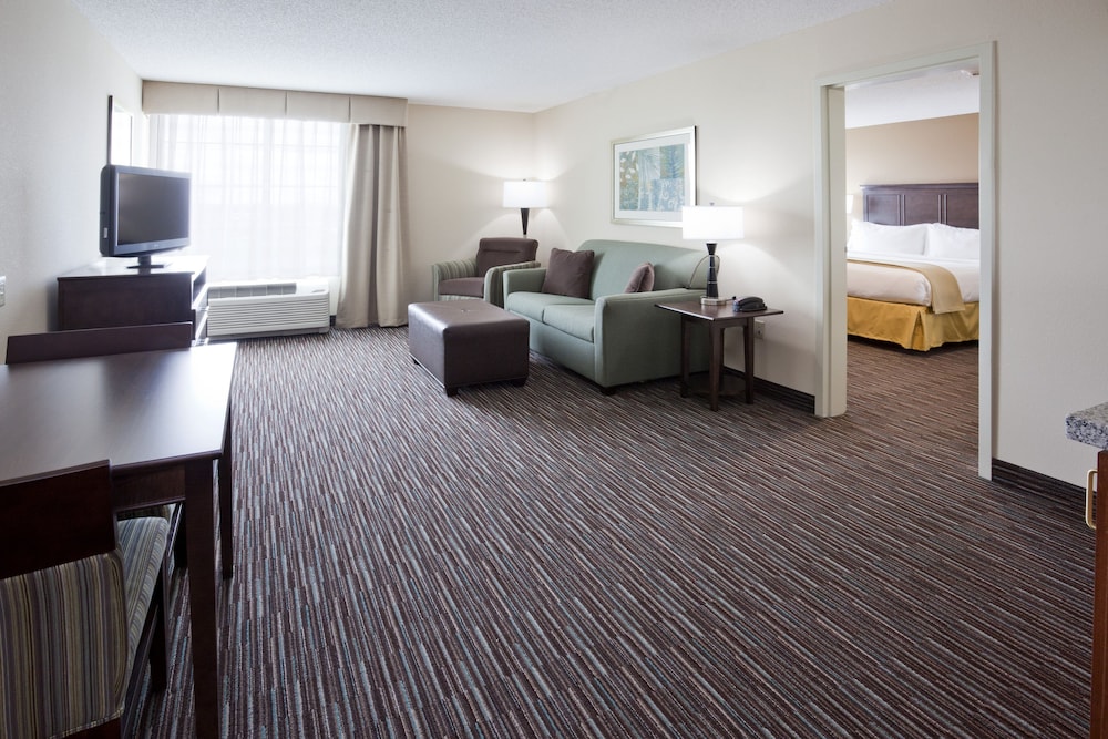 Suite, 1 King Bed, Accessible photo 1