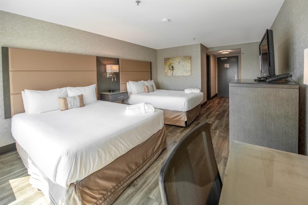 Premium Room, 2 Queen Beds photo 3