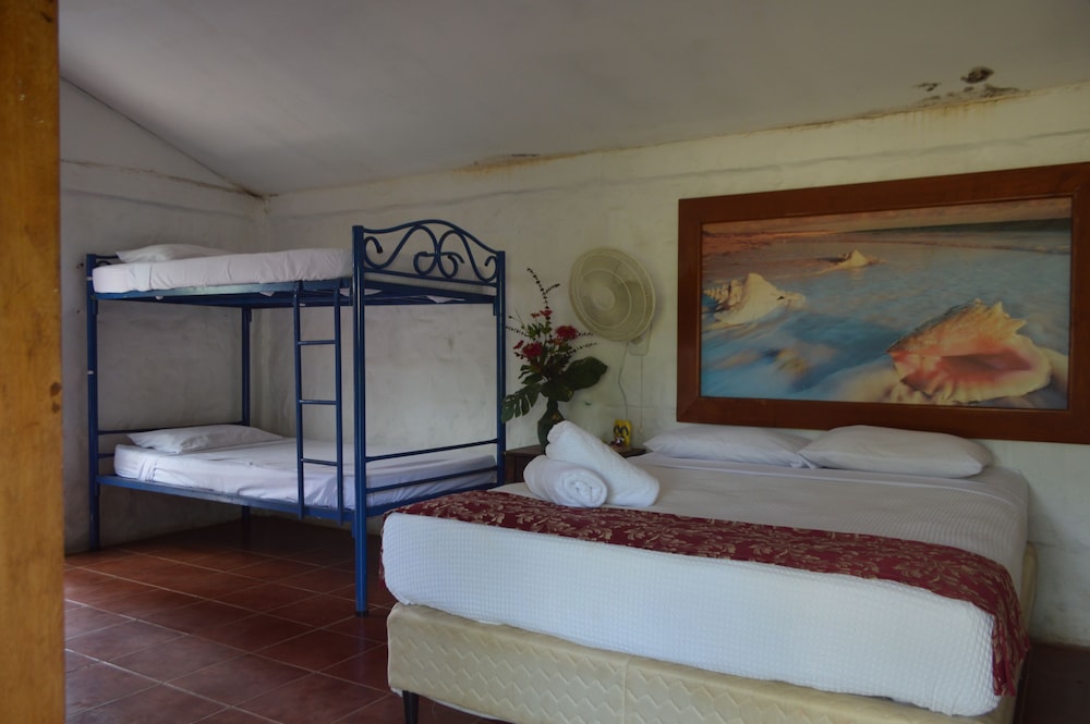 Shared Dormitory, Multiple Beds photo 3