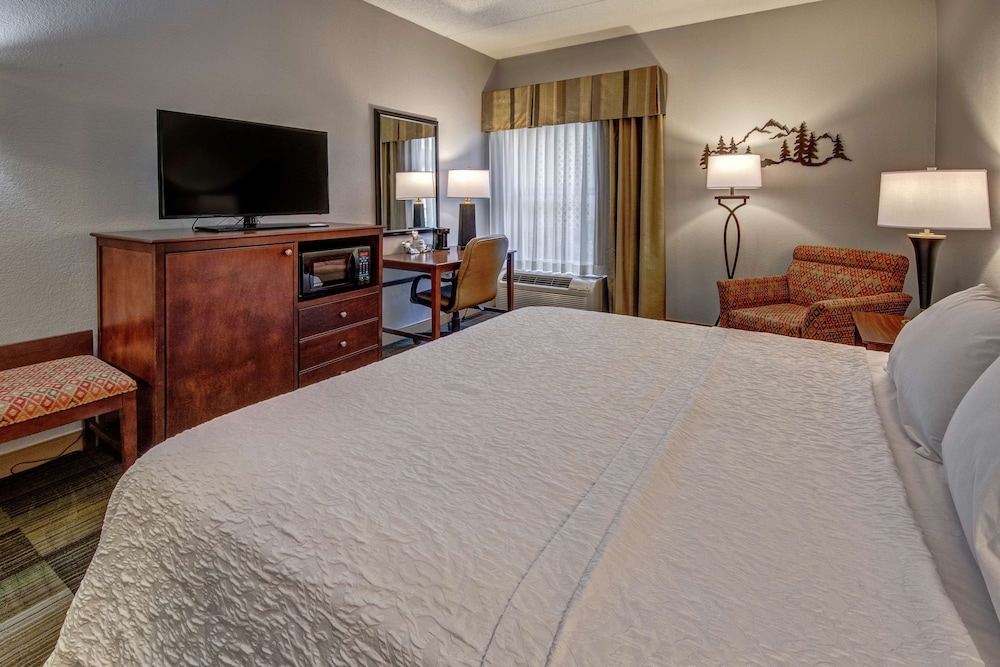 Room, 1 King Bed, Non Smoking photo 2