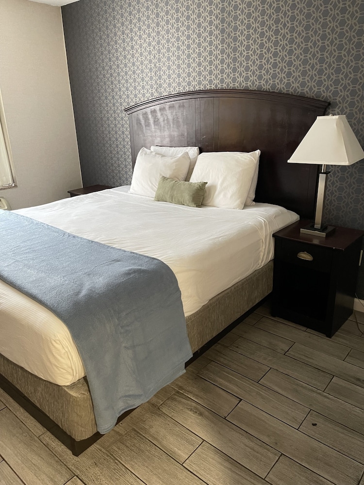 Basic Room photo 1