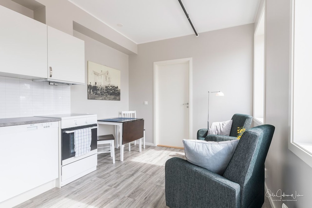 Apartment, 1 Bedroom, Kitchen photo 2