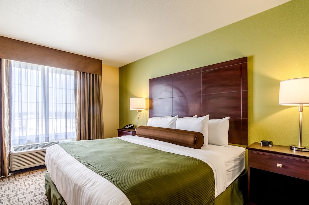 Suite, 1 King Bed with Sofa Bed, Audible Visual Alert, Non Smoking photo 1