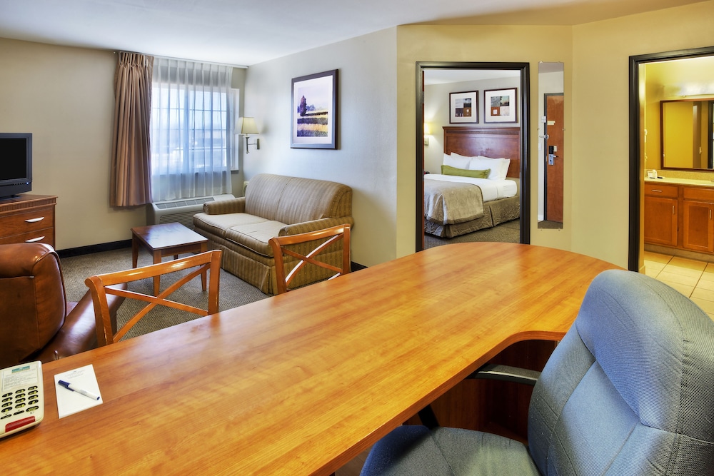 Suite, 1 Bedroom - Photo 4