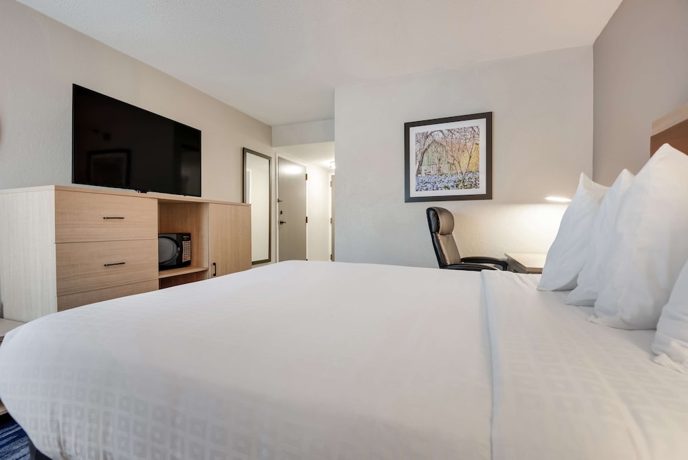 Standard Room, 1 Queen Bed, Accessible, Non Smoking - Photo 3