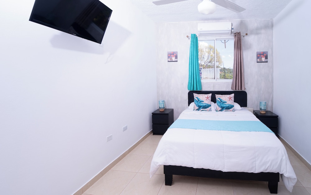 Apartment, 1 King Bed with Sofa bed