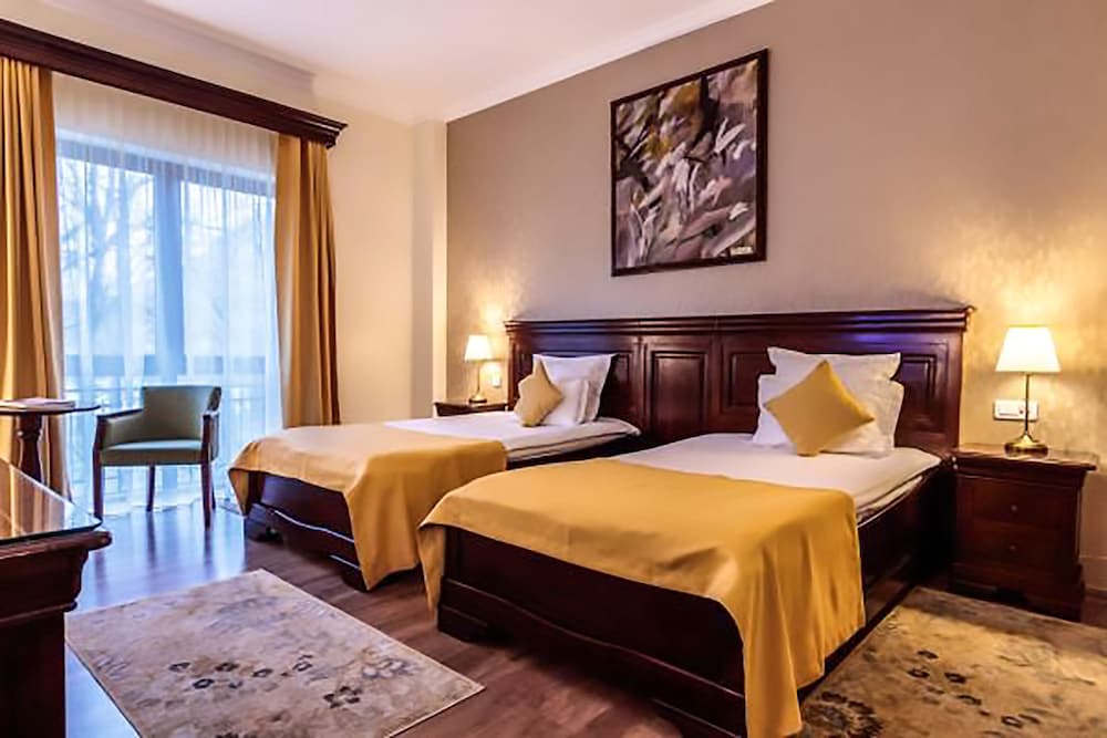 Deluxe Twin Room, Park View