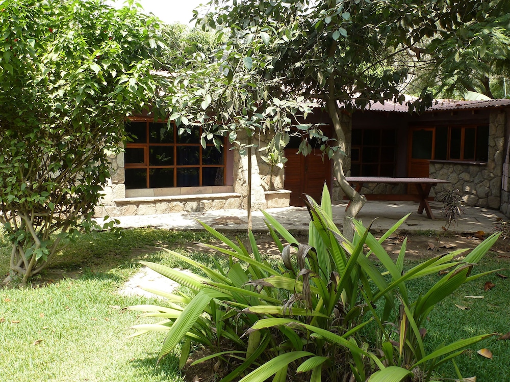 Premium Bungalow photo 3