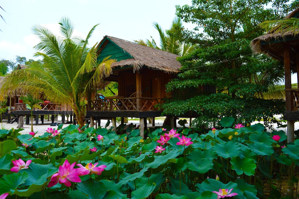 Beach Bungalow photo 3