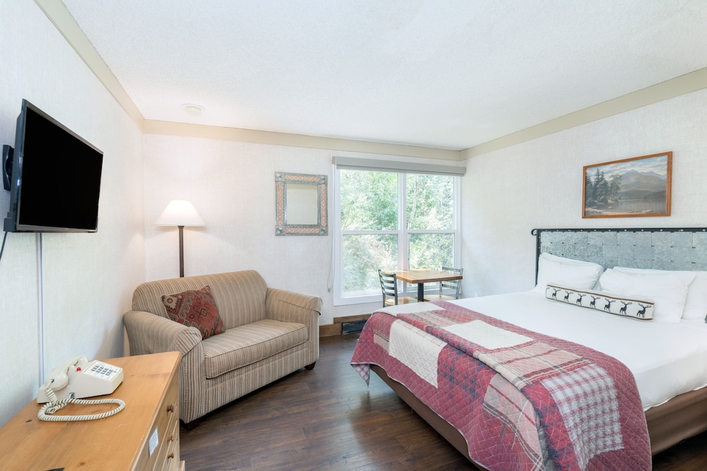 Room, 1 Bedroom photo 1
