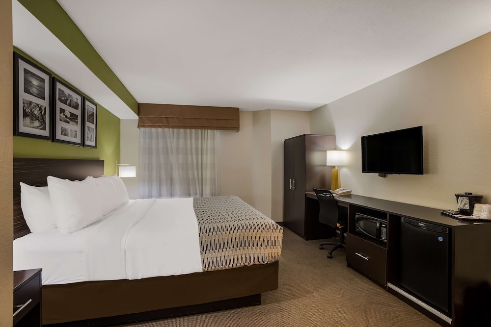 Standard Room, 1 Queen Bed, Accessible, Refrigerator & Microwave - Photo 10