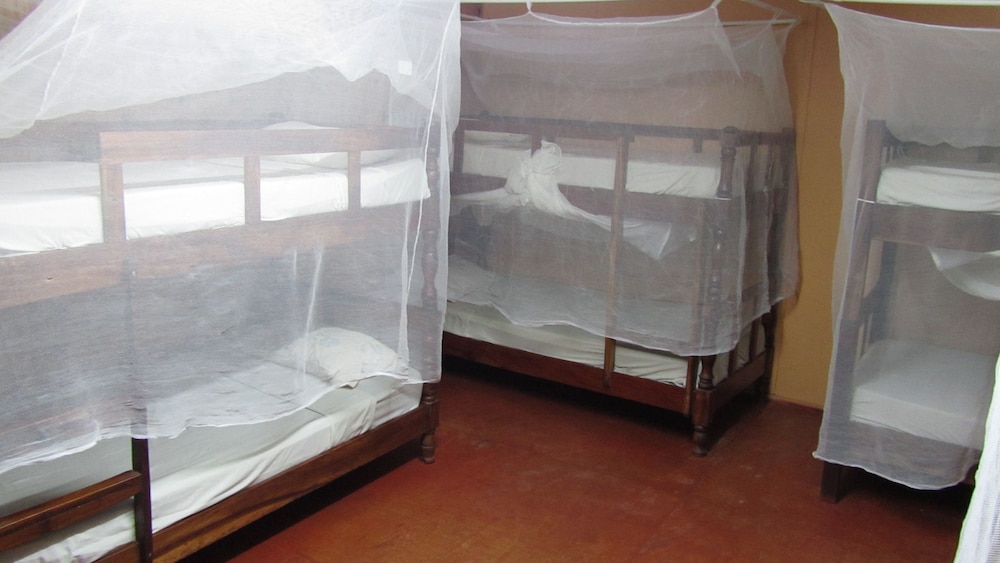 Shared Dormitory, Women only (10 Beds) photo 1