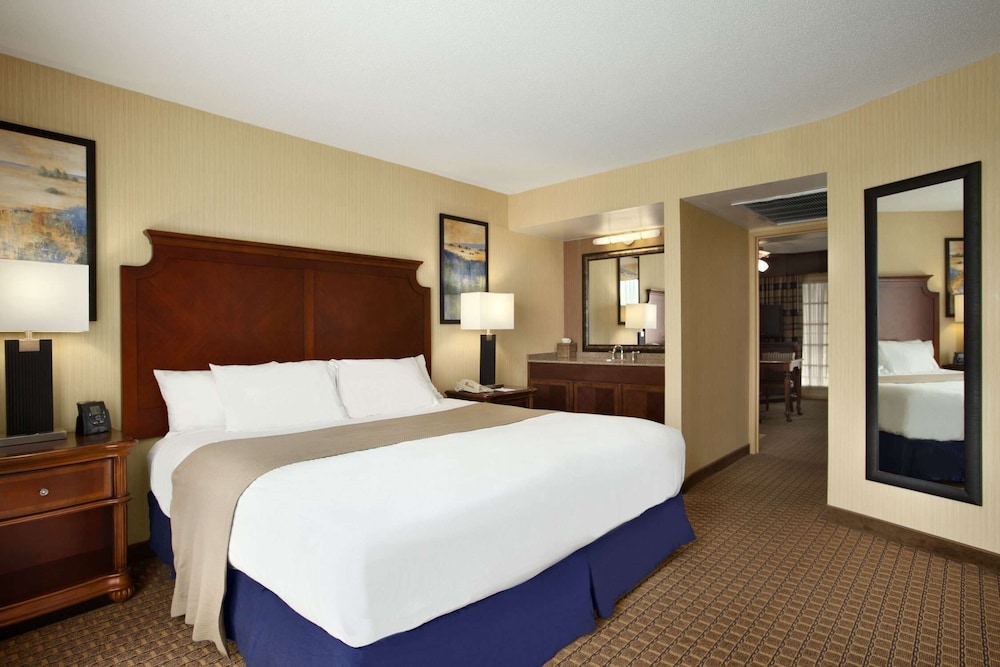 Room, 1 King Bed, Non Smoking (Basic) photo 1