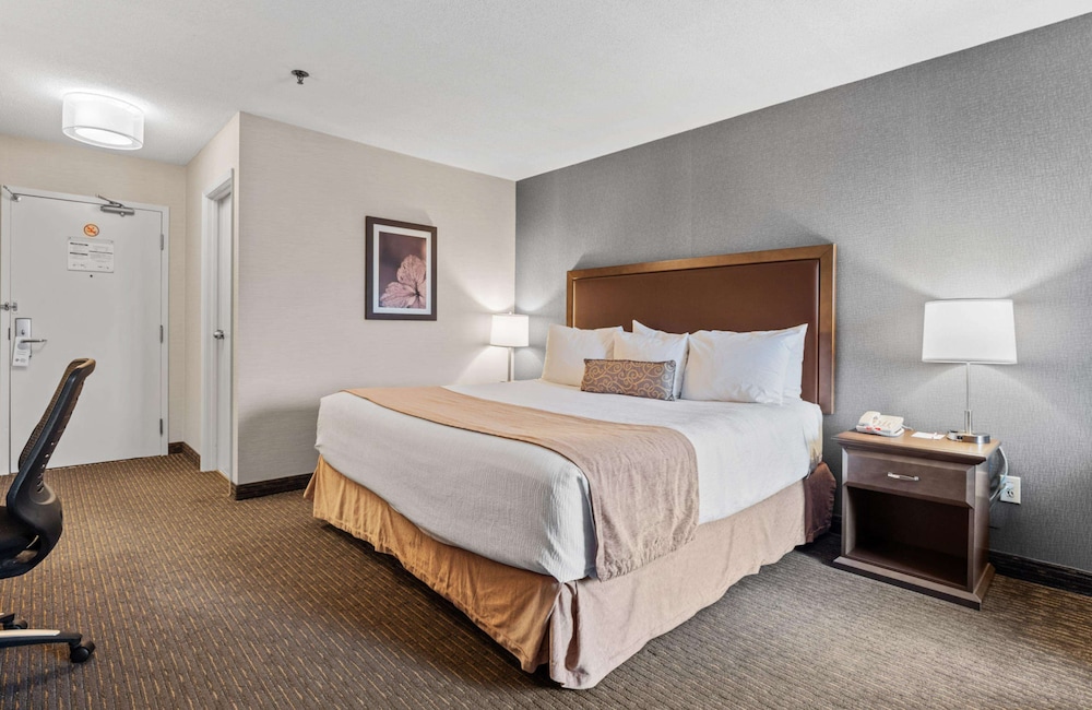 Standard Room, 1 King Bed, Fireplace, Tower - Photo 4
