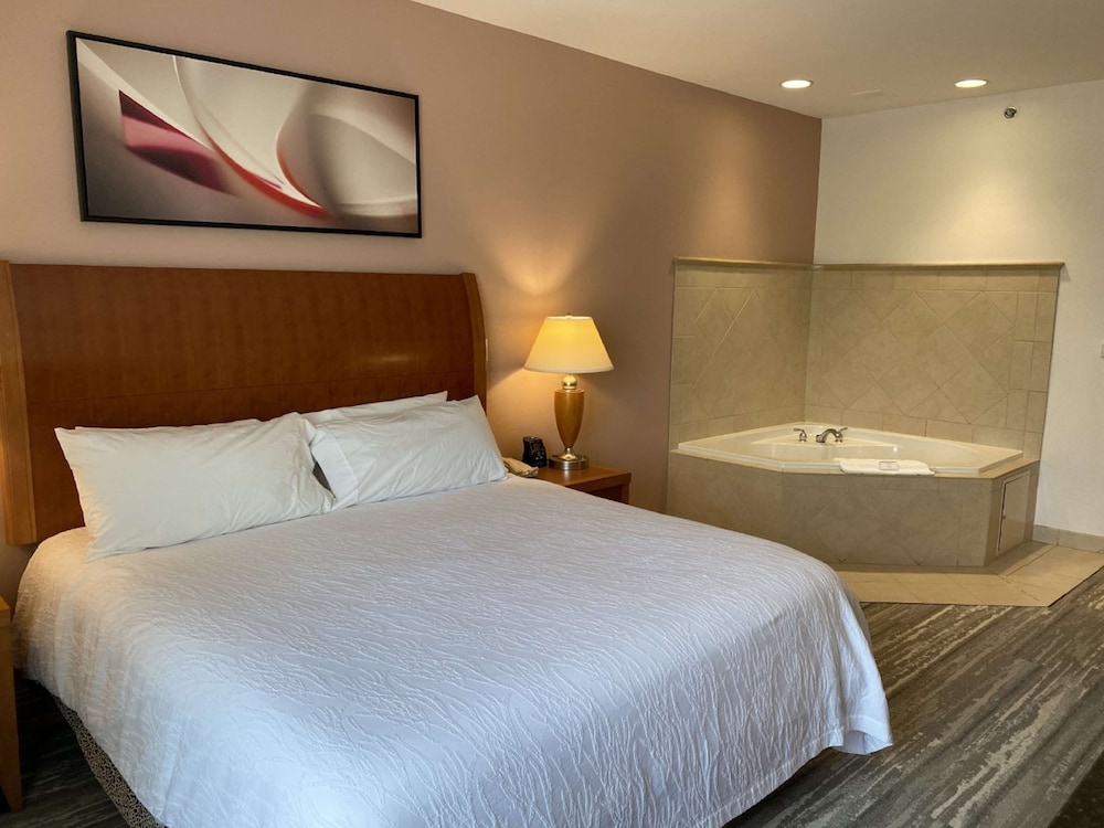 Suite, One King Bed photo 1