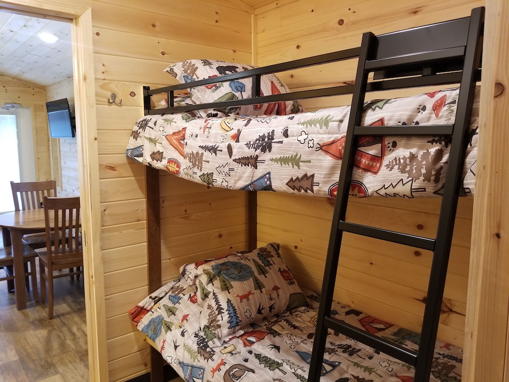 Large Cabin, Mountain View photo 3