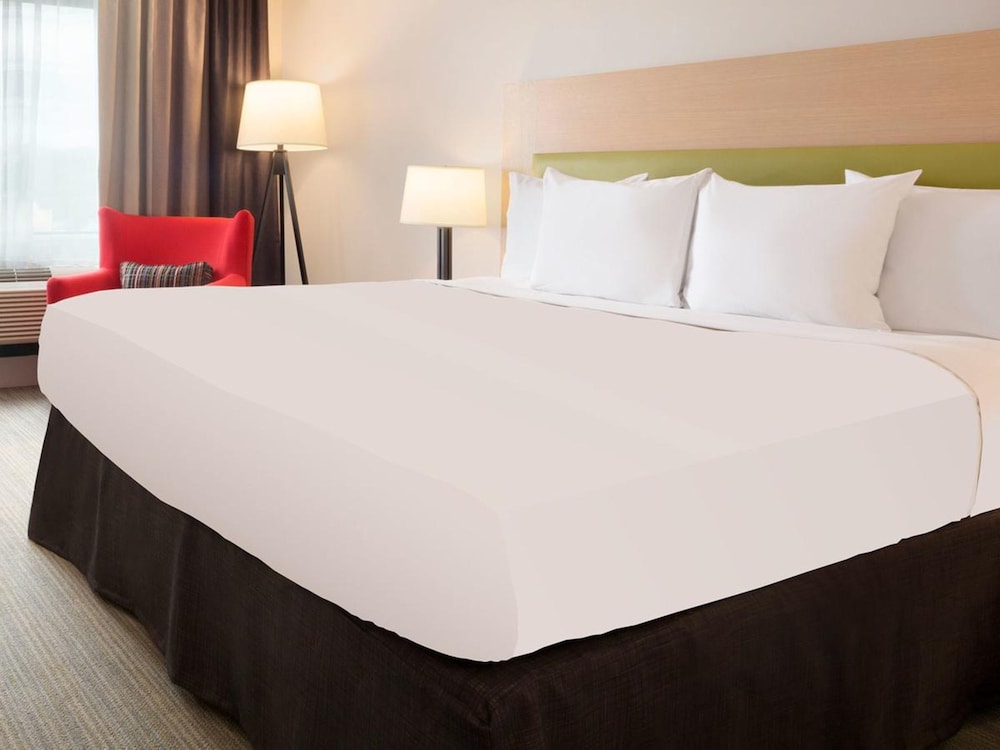Suite, 1 King Bed with Sofa bed, Non Smoking (Extended Stay) photo 3