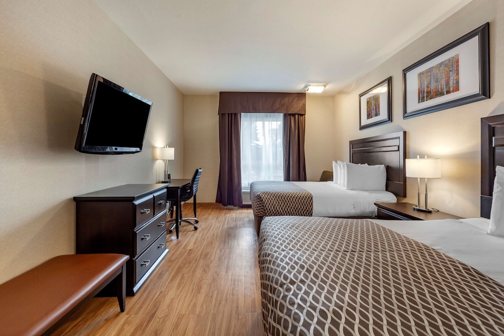 Standard Room, 2 Queen Beds, Non Smoking, Refrigerator & Microwave (Pet Friendly) photo 3